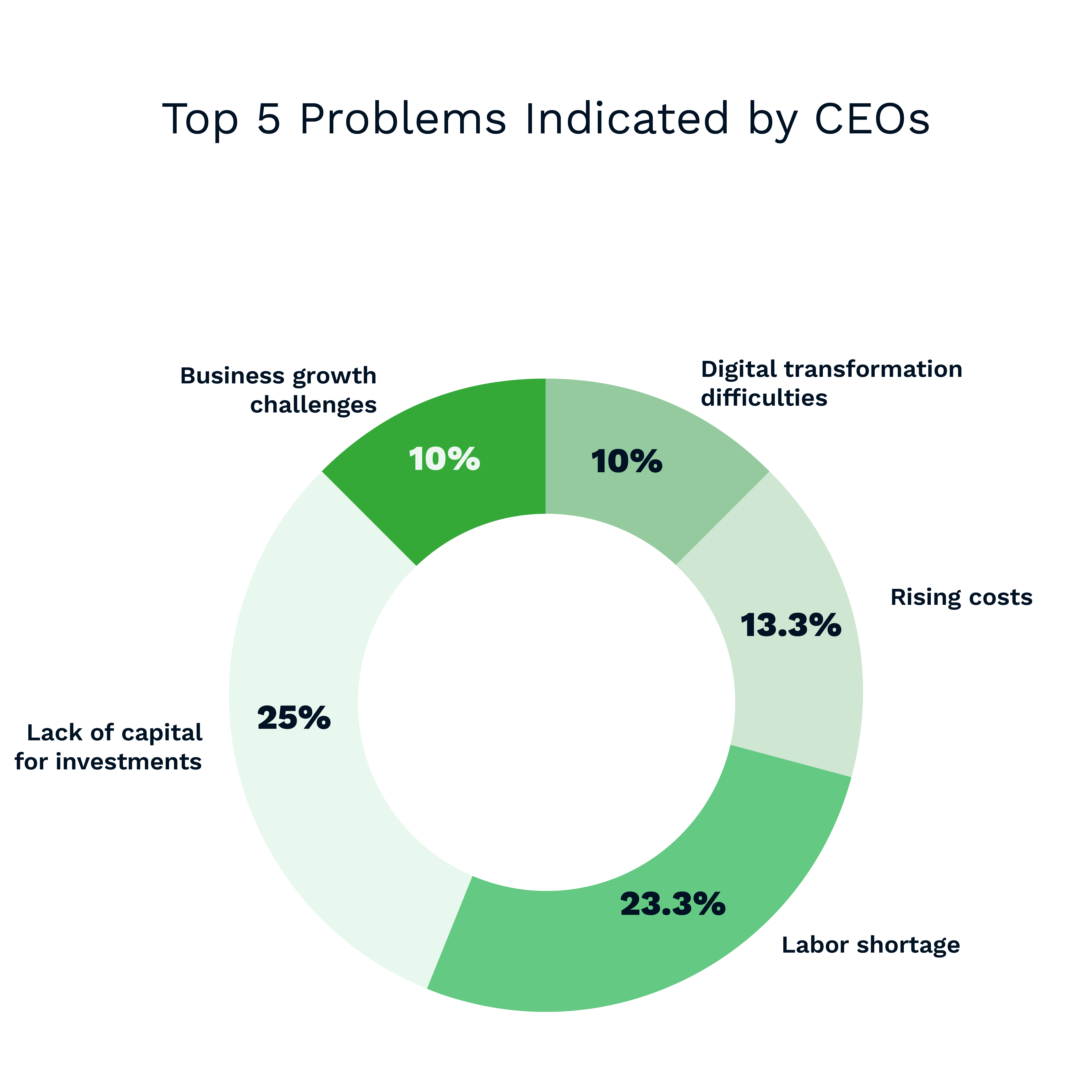 CLevel Insights Top Executive Challenges & The State of AI